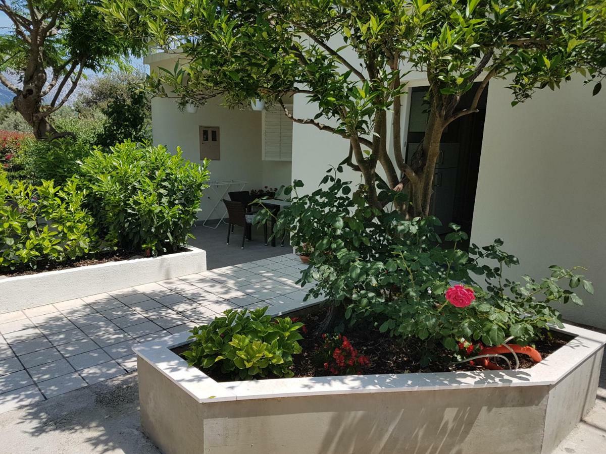 Apartman Lucija 코츌라 외부 사진