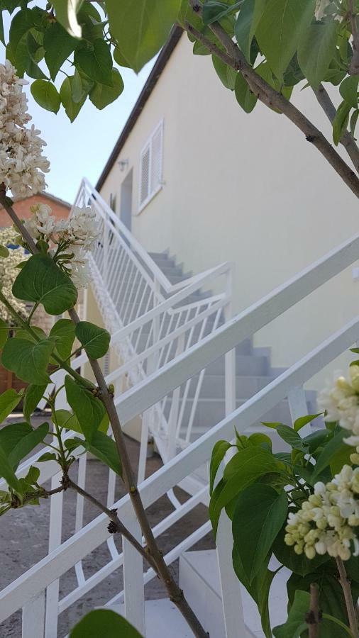 Apartman Lucija 코츌라 외부 사진