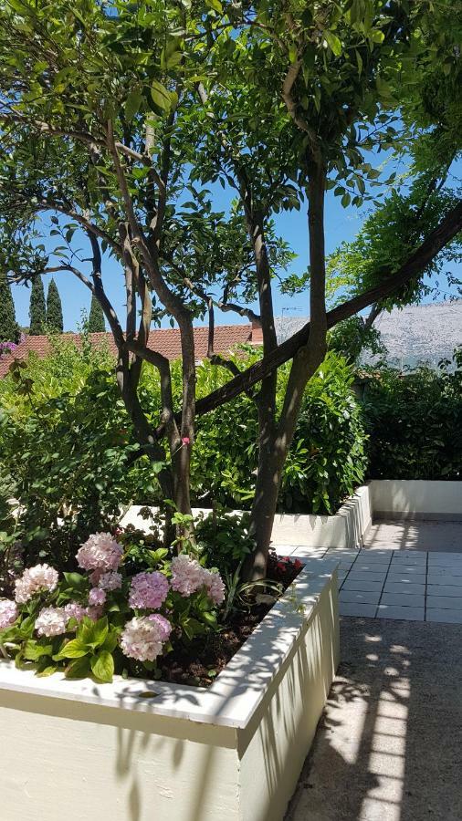 Apartman Lucija 코츌라 외부 사진