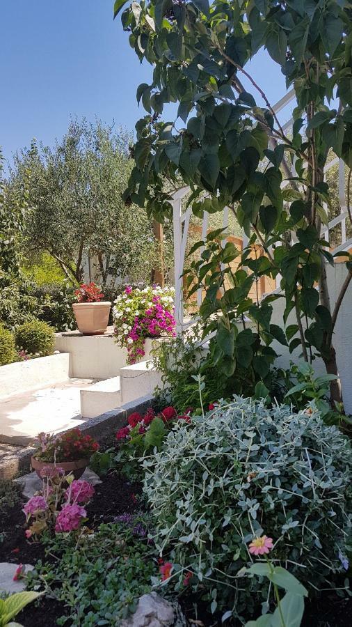Apartman Lucija 코츌라 외부 사진